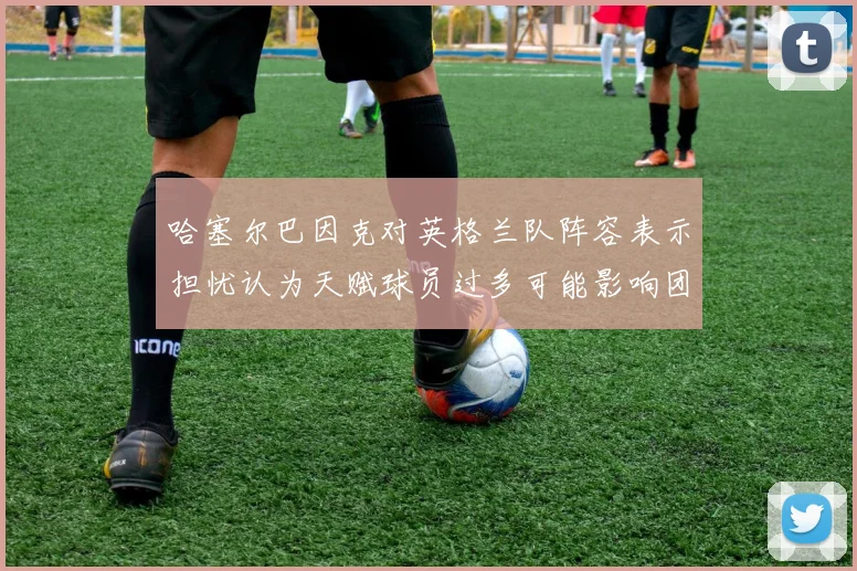 哈塞尔巴因克对英格兰队阵容表示担忧认为天赋球员过多可能影响团队合作