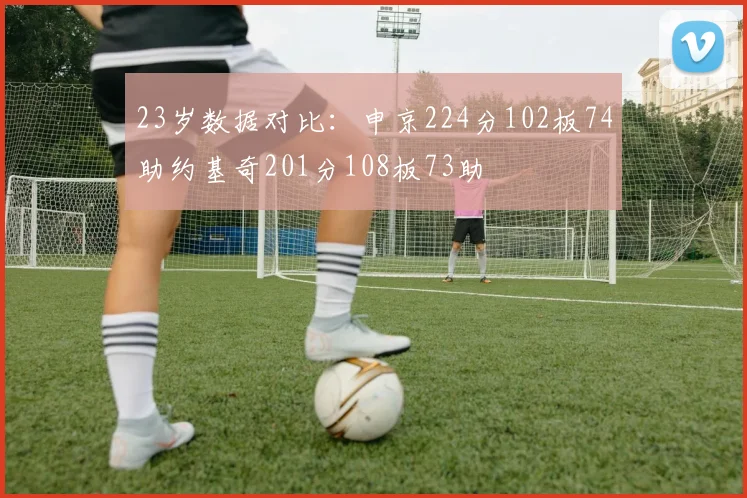 23岁数据对比:申京224分102板74助约基奇201分108板73助