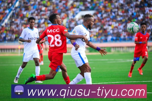 球速体育平台生态图