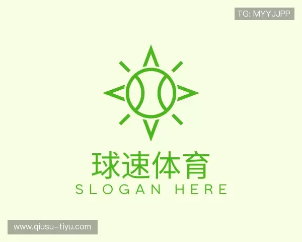 了解球速体育公司