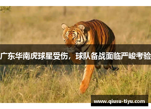 广东华南虎球星受伤，球队备战面临严峻考验